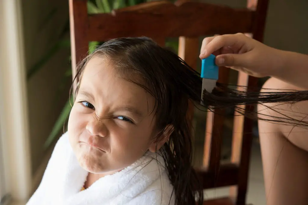 a girl is up set face doing head lice treatment