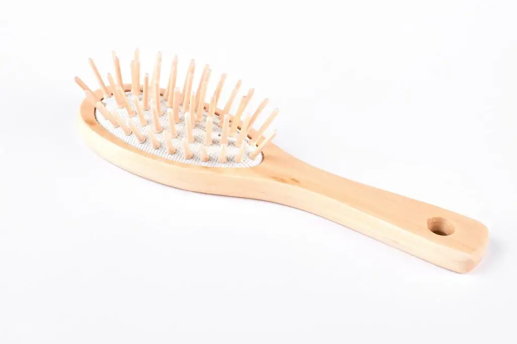 Hair Brushes - Everything You Need to Know