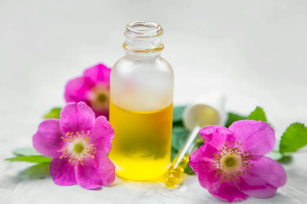 6 Rosehip Oils That Are Good For Your Skin, Hair & Nails