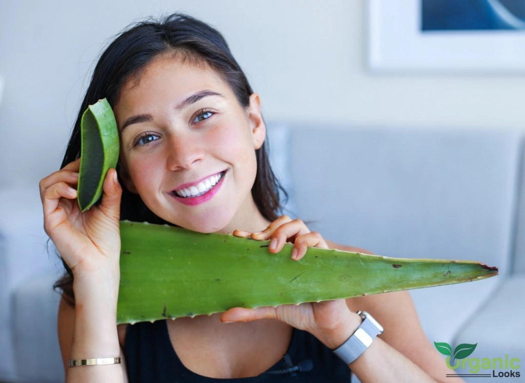 10 Essential Aloe Vera Benefits 2023 Guide Organic Looks