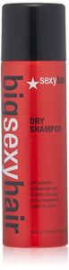 SEXYHAIR Big Dry Shampoo